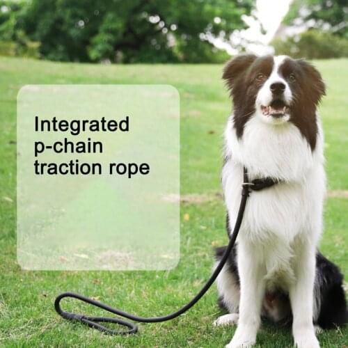 Pet Dog Leash Traction Rope Chain Large Dog Collar P Dog Harness Comfortable Nylon Adjustable Training Leash 5Colors