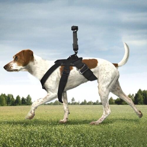 Pet Dog Band + Expansion Adapter Dog Strap Mount Connector for DJI Osmo Pocket Camera dog chest strap for GOPRO Accessories