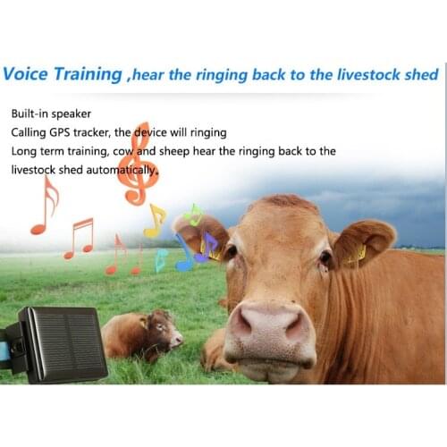 GPS Tracker Big Battery 4000mAh Solar Collar For Cow Sheep Cattle Horse Camel hunting dog pigeon Animal gps tracking RYDV26