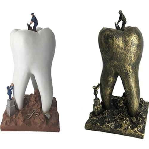 Teeth Model Crafts, Resin Dental Clinic Desktop Display Cabinet Decoration Sculpture Clinic Decoration Dentist Office Furnishing