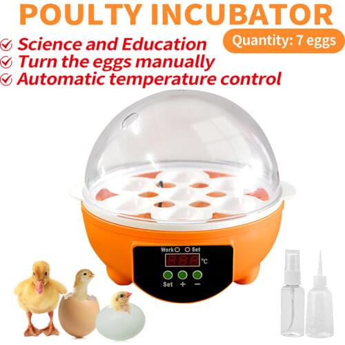 Hatching Chicken Bird Incubator Eggs 7 Eggs Rack Machine Automatic Intelligent Household Animal Chicken Brooder Equipment