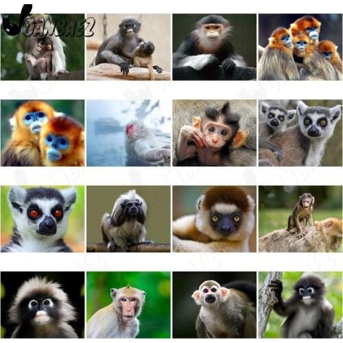 Animal Happy Monkey Diamond Painting 5D Diy Wall Art Cute Orangutan Diamond Inlaid Home Room Decoration Accessories