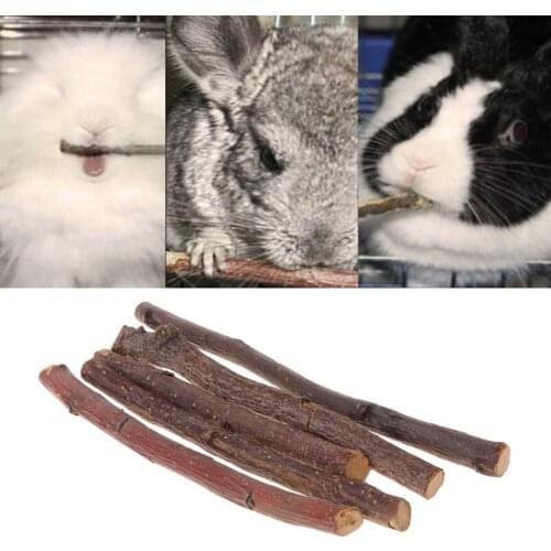 5pcs Chew Stick Apple Tree Branch Hamster Squirrel Natural Toys Parrots Rabbits for hamster