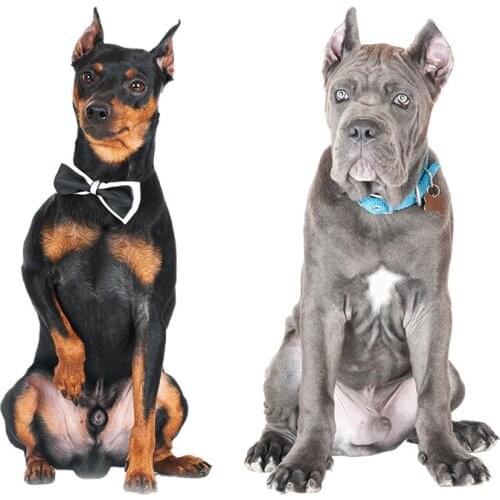 Three Ratels QD102 HD pixel The mighty Hound god sticker Vinyl auto Wrap for car laptop gift decals wall sticker for rooms