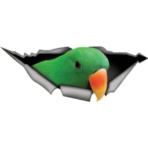 Personality Eclectus Roratus 3D Car Sticker Vinyl Waterproof Car Window Accessories Decorative Boot Art Pattern PVC 13cm X 5cm