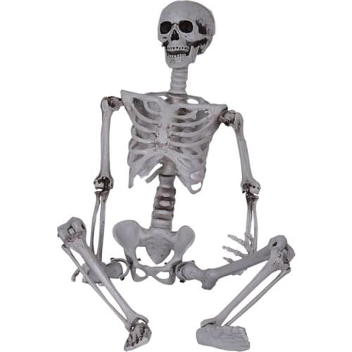 40cm Funny Movable Skeleton Human Model Skull Full Body Mini Figure Novelty Toy Halloween Gift For Children Kids