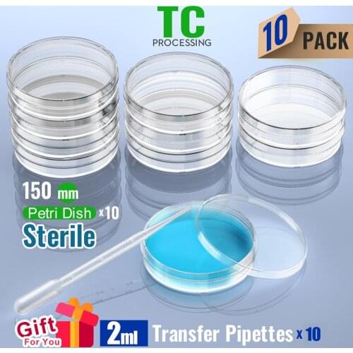 Sterile Petri Dish with Lid 150mm, with 2ml Plastic Transfer Pipettes individual package by Ks-Tek 10/Pack