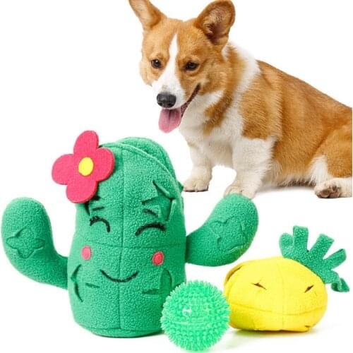 OOTDTY Trainers For Dogs