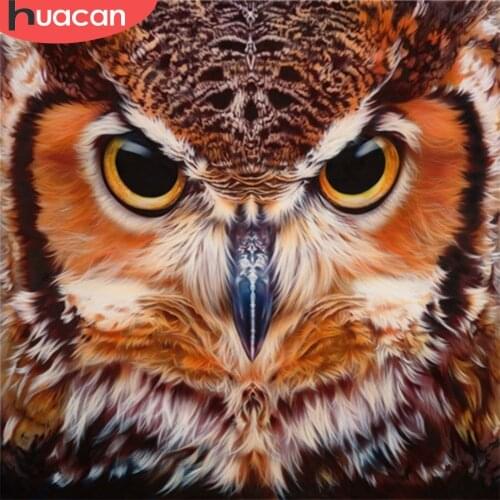 HUACAN Owl Diamond Painting Cross Stitch Animals Patterns Rhinestone Diamond Embroidery Full Square Diamond Mosaic Needlework
