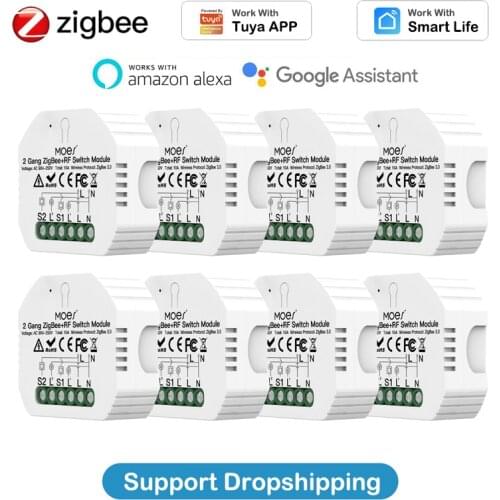 1-10pcs 10A ZigBee 3.0 + RF433 DIY Switch Relay Module 90-250V 2 Channels for Tuya Smart Life APP Work with Alexa Google Home