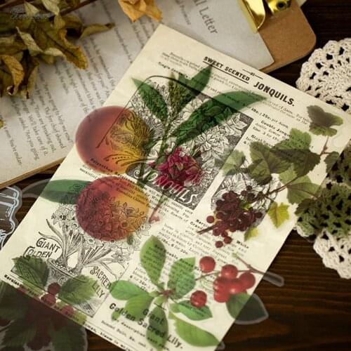 11pcs/bag Vintage Fern leaf Rose Berries PET sticker package DIY diary Bullet Journal decoration sticker album scrapbooking