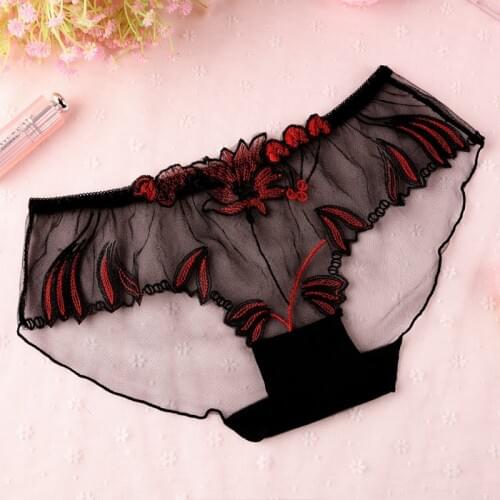 New Underwear Sexy Lace Embroidered Low Waist Panties Slim See Through Mesh Lingerie Women Briefs