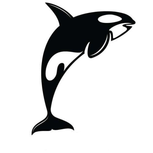 ORCA KILLER WHALE window DECAL STICKER 14x11cm