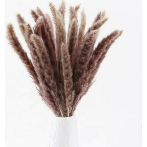 30pcs 45cm Natural Pampas Reed Grass Bouquet Bunch Desktop Decoration Wedding Party Home Decor Dried Flowers