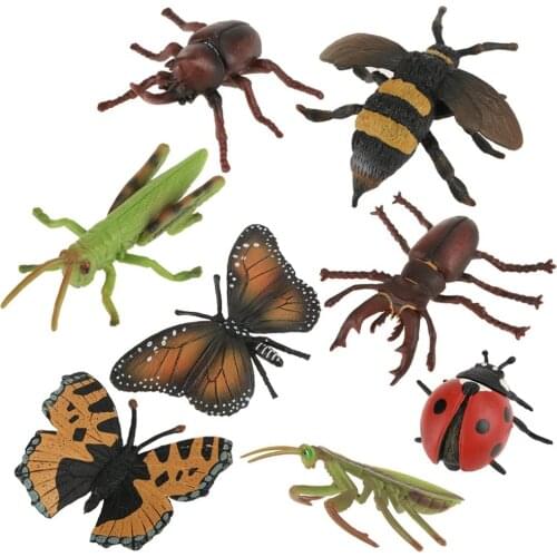 Insect Toy, 8-10Pcs/set Wild Animal World Figures Model Insect Figures Insect Model Set Kids Children Biology Science Toys Gift