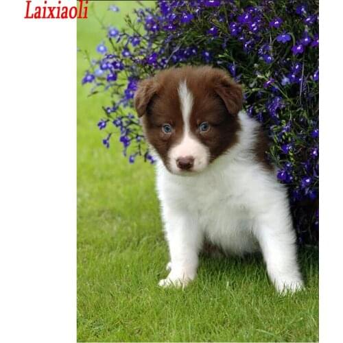 5D Diy Diamond Embroidery Border Collie Sheep Mosaic Full Square round rhinestone Cross Stitch Diamond Painting Cute puppy Dog