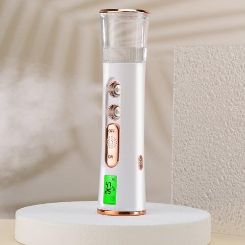 Nano Mist Facial Sprayer Double Spray-head Humidifier Nebulizer Face Steamer Moisturizing Beauty Instruments Face Skin Care Tool