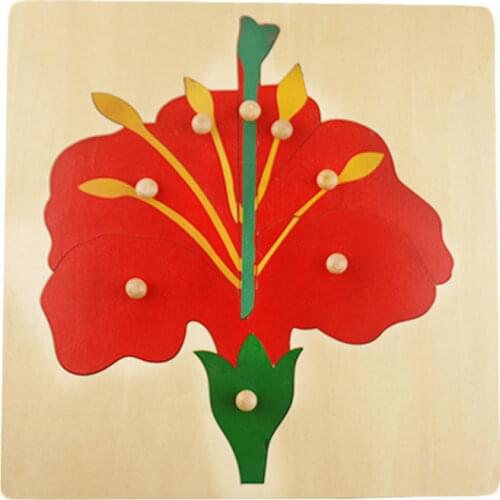 Montessori Materials Montessori Botany Puzzles Tree Leaf Flower Preschool Early Learning Educational Wooden Toys UH2864H
