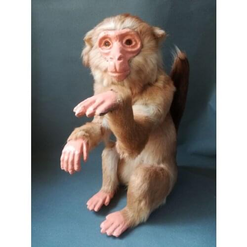 Real life toy brown monkey model polyethylene&furs large 35x22x47cm model home garden decoration props gift h0572