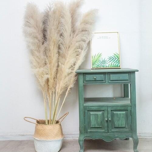 Large Size Pampas Grass Decoration Natural Fluffy Dried Flowers Bleached Bouquet Retro Style Wedding Home Christmas Decoration