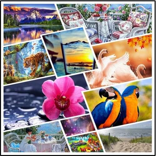 Diy Diamond Painting Haughty White Swan Colored Blue Yellow Feather Parrot Vast Mysterious Universe Starry Sky Poster