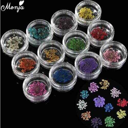 Monja 12Pcs/Set Nail Art Dry Flowers Stickers Decals Real Dried Flower 3D DIY Manicure Decoration Accessories