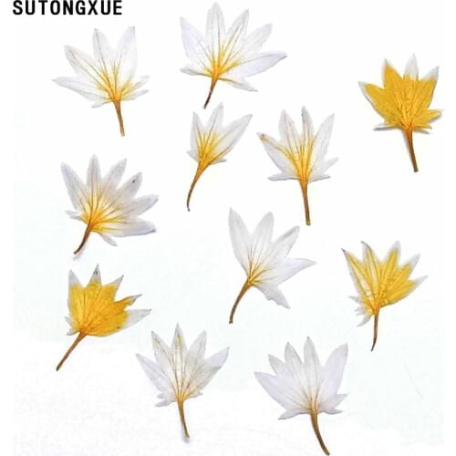 1 Box Mixed Dried Flower 3D Nail Decoration DIY Preserved Flower Manicure Nail Art Decoration