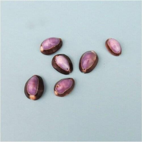 Natural Spiral Shell For Scrapbooking Crafts Seashells Handmade Nautical Home Decor Glass Bottle Accessories