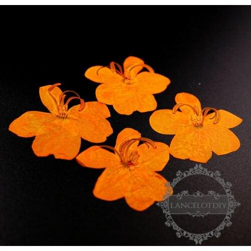 3-5cm orange DIY dry pressed flower pendant charm jewelry supplies 1503186