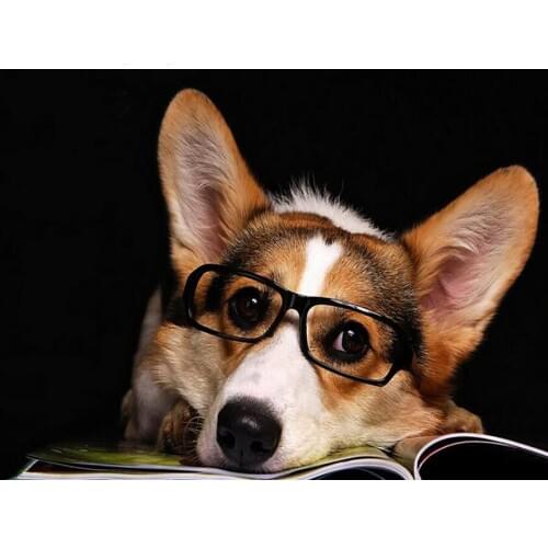 Welsh Corgi Dog Diamond embroidery full drill Diamond painting dog Read a book Art diy diamond Cross Stitch Rhinestone mosaic