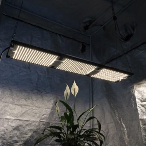 IP65 waterproof Kingbrite 320w 3500k / 3000k led pre-assembled lm301h qb288 v4 board full spectrum led grow lights