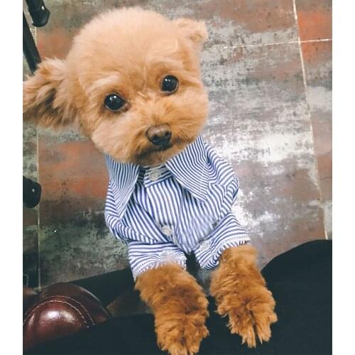 Dog Shirt for Small Dogs Striped Shirt for Chihuahua Cotton Jacket for French Bulldog Yorkshire Puppy Apparel Pet Costume PC0988