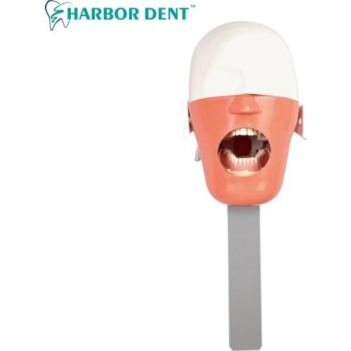 Dental Phantom Head Model Simulation Dental Simulator Model Dentistry Manikins Head Dentist Training Model for Education
