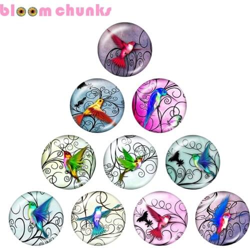 Hummingbird 10pcs mixed 12mm/18mm/20mm/25mm Round photo glass cabochon demo flat back Making findings A5807