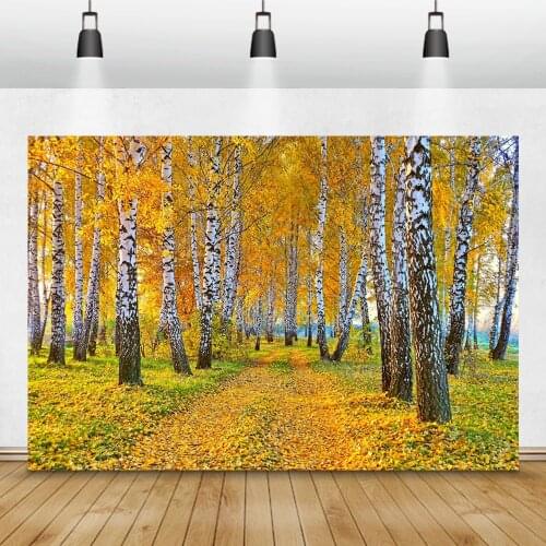Laeacco Autumn Backdrops Yellow Forest Maple Trees Leaves Pathway Children Portrait Photography Backgrounds Photo Studio Props