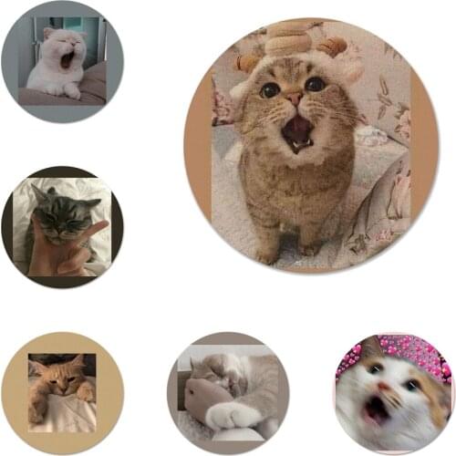 Cute Cat Kitten Catling Badge Brooch Pin Accessories For Clothes Backpack Decoration gift