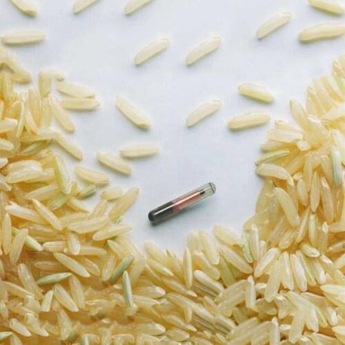 Free shipping 100PCS/lot Glass Tag with implanter 1.25*7mm ISO11784/785 FDX-B with 2 syringes free for tortoise,cat,snake