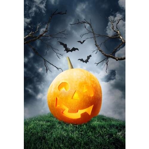 VinylBDS Halloween Painted Pumpkins Terror Custom Photo Backdrops Bat Fondali Studio Fotografico Background For Photo Shoot