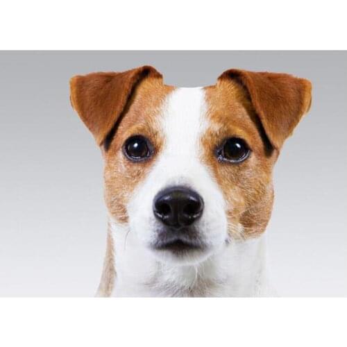 5D Full Square Round DIY Diamond Painting Animal Dog Cross Stitch Embroidery Mosaic Home Wedding Decoration Birthday Gift