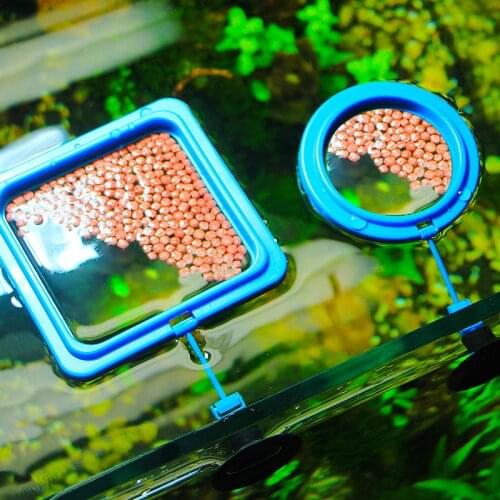 Fish Feeder Fish Shrimp Turtle Feeding Aquarium Fish Tank Ring Feeder Station Floating Food Water Plant Buoyancy Circle Suckers