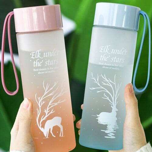 Water Cup Simple ins Ladies Summer Plastic Cup Fairy Boys and Middle School Students Fresh and Lovely Anti-fall Cup