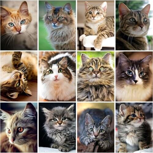 DIY Cat 5D Diamond Painting Full Square Drill Mosaic Cross Stitch Needlework Diamond Embroidery Kits Gift Wall Art Home Decor