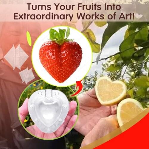 IN STOCK Fruit Lemon Strawberry Heart-shape Growth Forming Mold Transparent Fruit Growing Shaping Mould For Garden Mould Tools