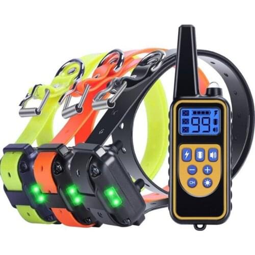 The Dog Trainer Automatically Shocks The Dog Collar and The Pet Collar Barker