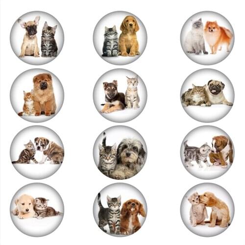 Mixed Glass Snap Button Jewelry Pet Cat And Dog For DIY 18MM Button Snap Bracelet Necklace Jewelry