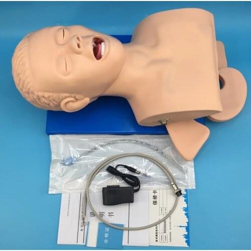 Intubation Manikin Study Teaching Model Airway Management Trainer PVC With Teeth