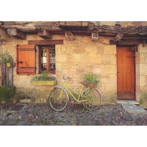 Photographic Backdrop Bicycle Wooden Door Window Vinyl Cloth Background Photo Studio for Children Baby Portrait Pets Photoshoot