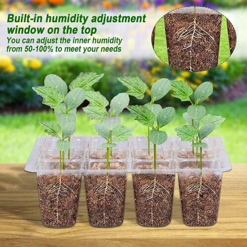 6/12 Hole Transparent Nursery Pot Tray Garden Plant Succulent Flower Vegetable Seed Propagation Grow Box