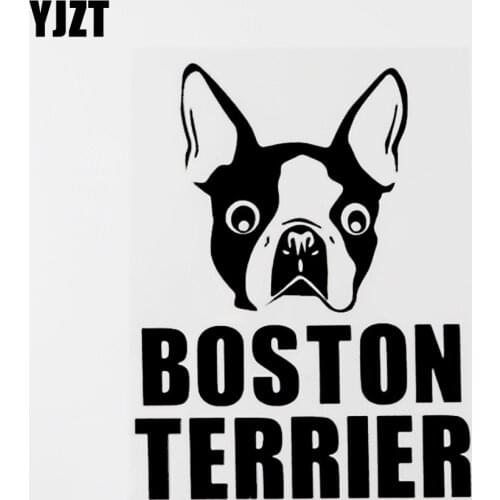 YJZT 12.5CM×16.1CM Animal Boston Terrier Funny Vinyl Car Window Sticker Decal Black/Silver 8C-0574