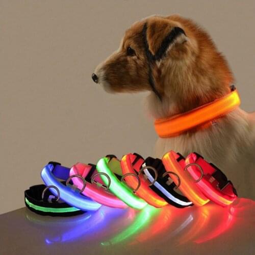 USB Charging Led Dog Collar Anti-Lost/Avoid Car Accident Collar For Dogs Puppies Dog Collars Leads LED Supplies Pet Products